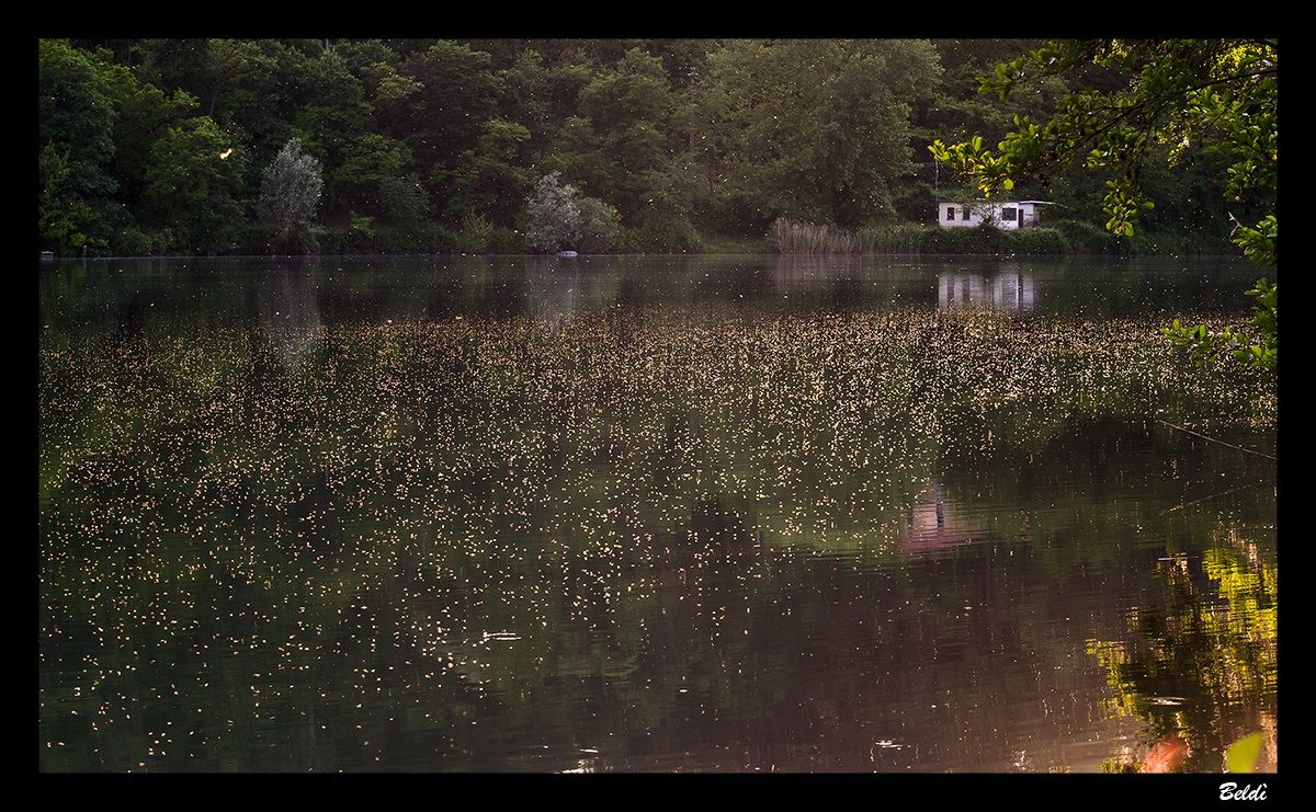 Lights in the sunset on the river