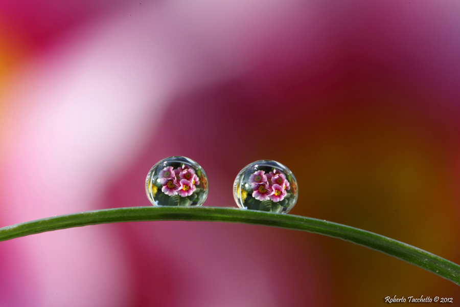 Water drop 5
