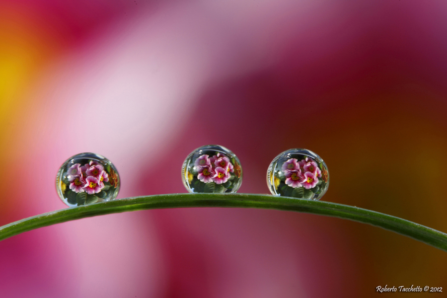 Water drop 6