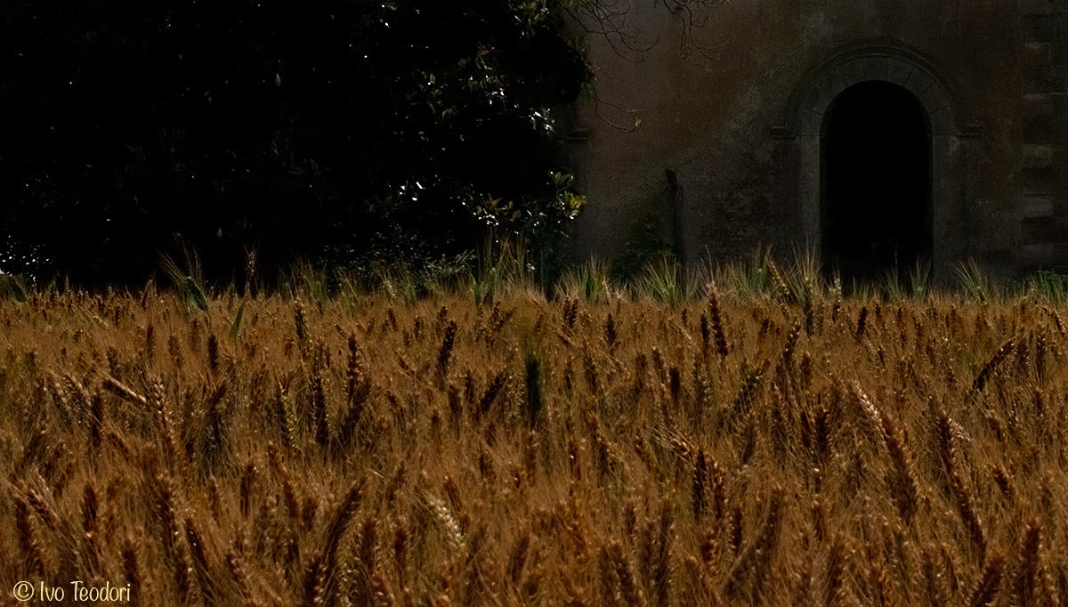 A long time in August