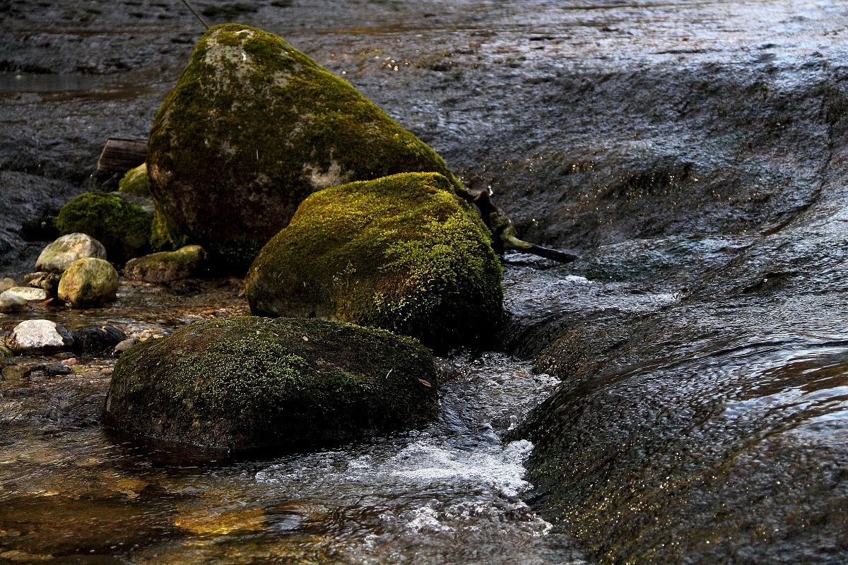 Other Detail Of The Stream ....