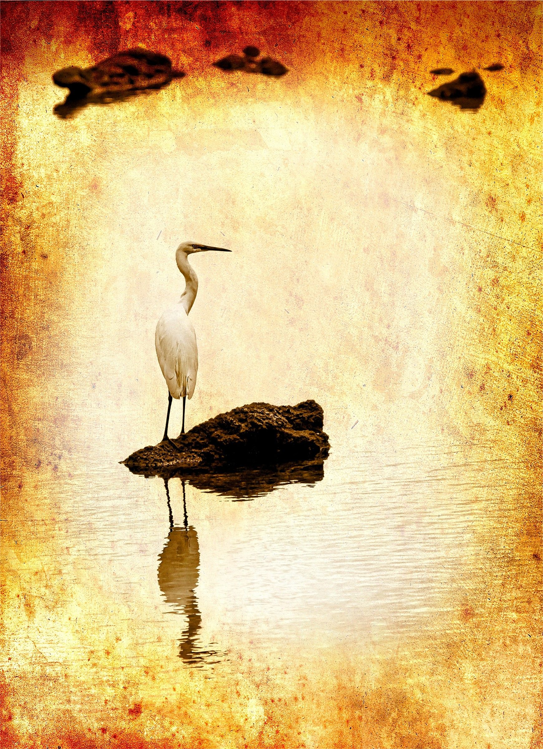 Antique Egret