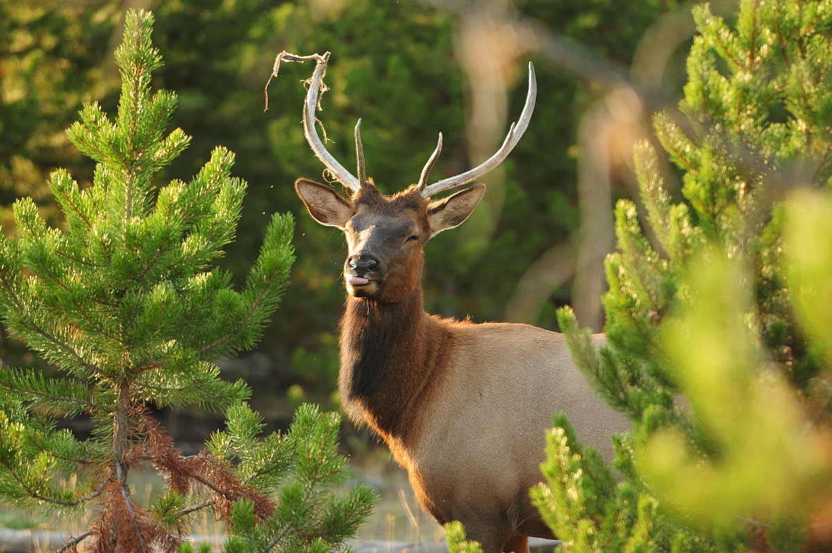 Prrrrrrrrrrrrrrrrrrrrrrrrr