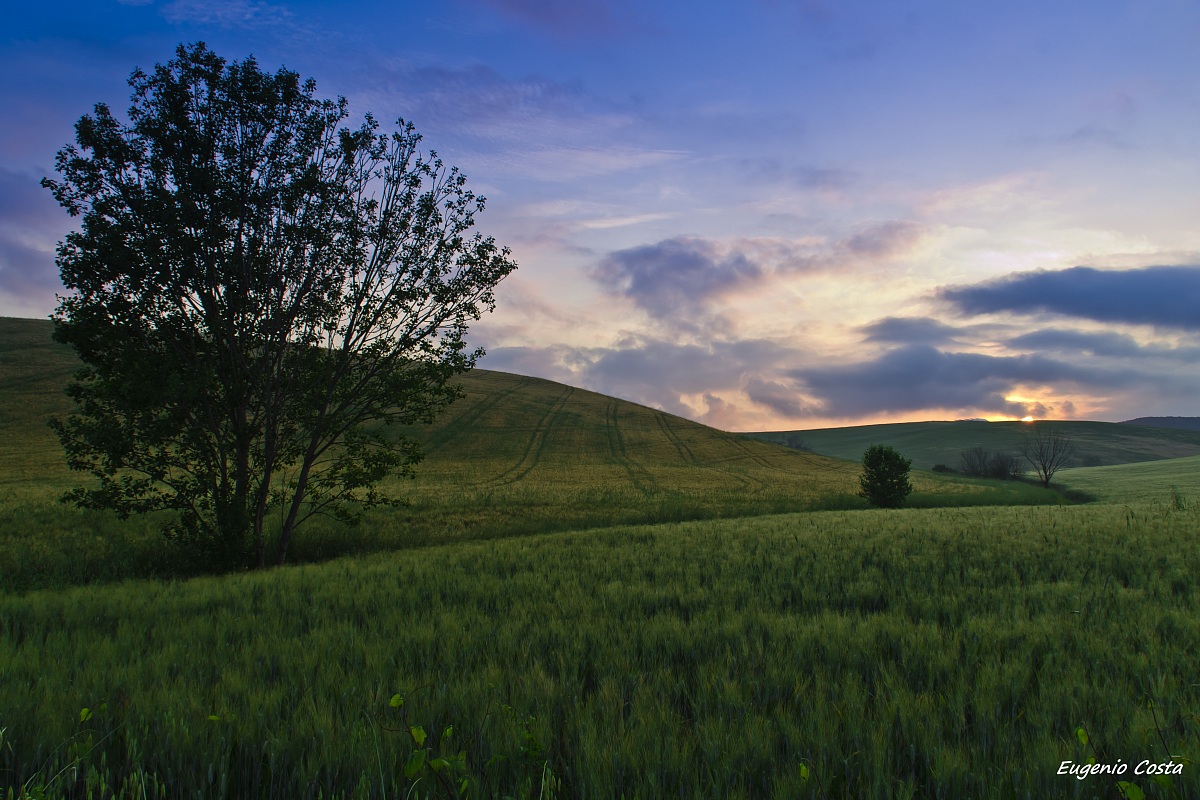 Waking up in the morning with the first rays of the sun ...