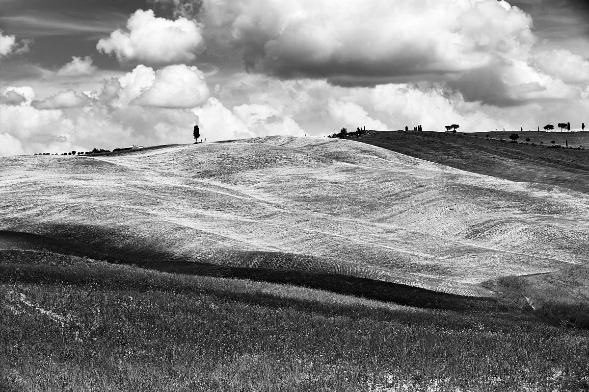 Hills of Tuscany b & w