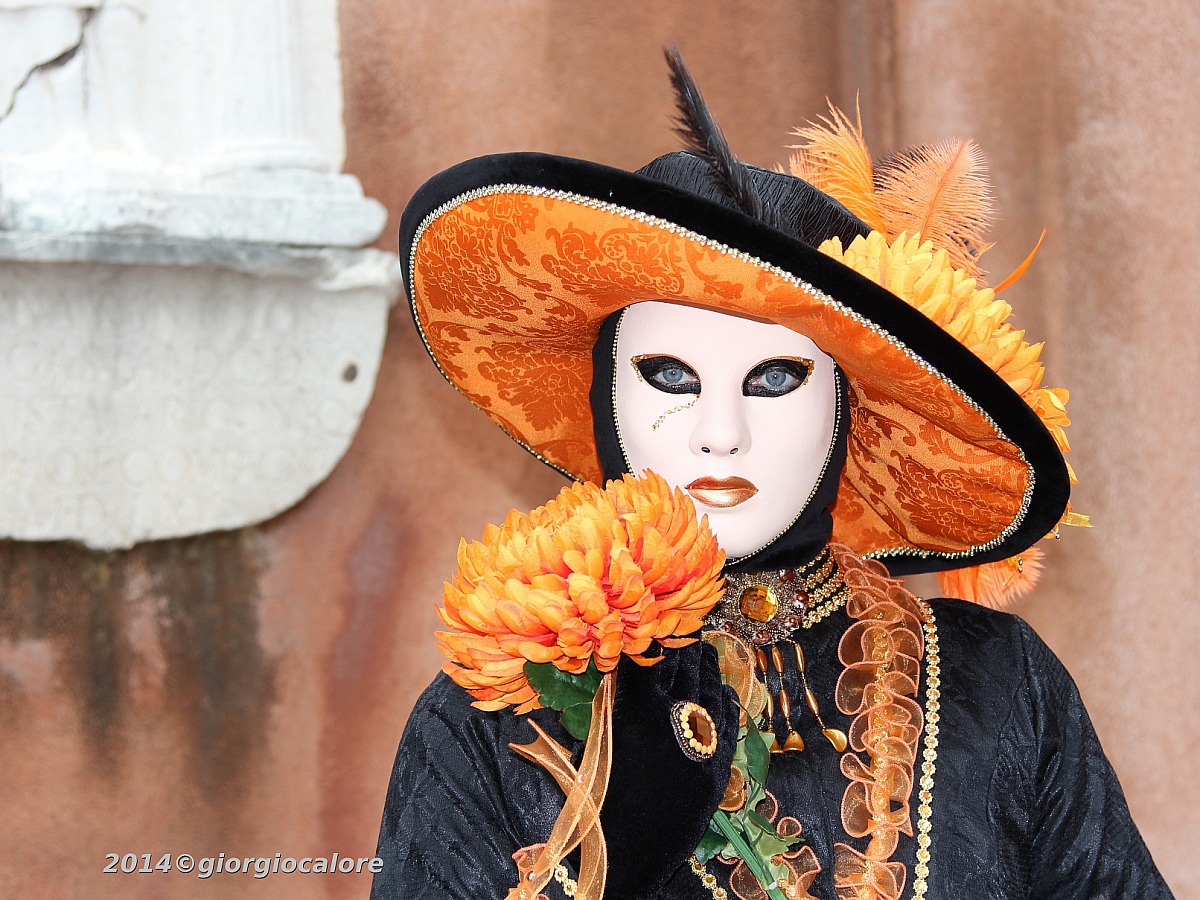 Venice Carnival 2014