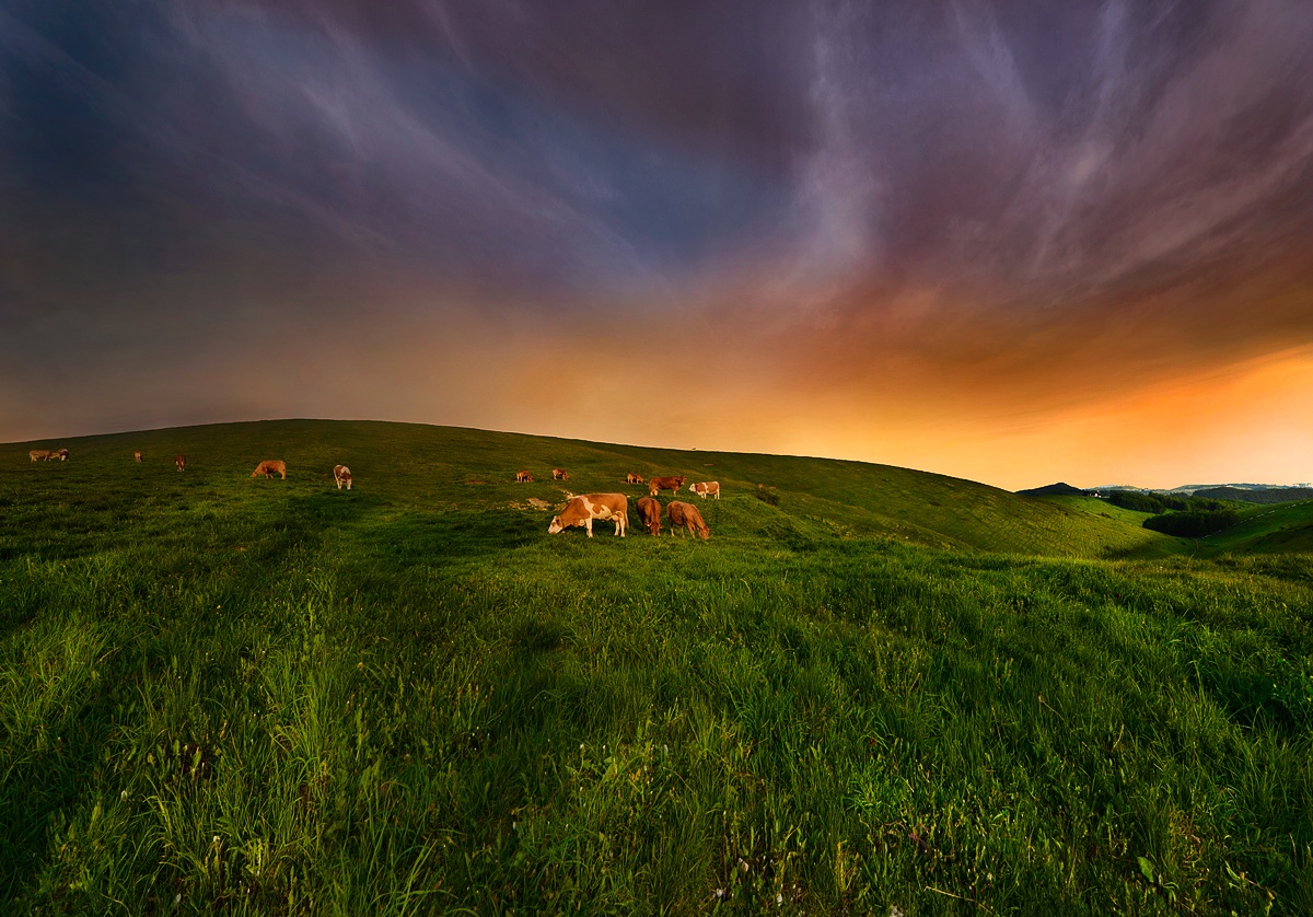 The valley of dreams