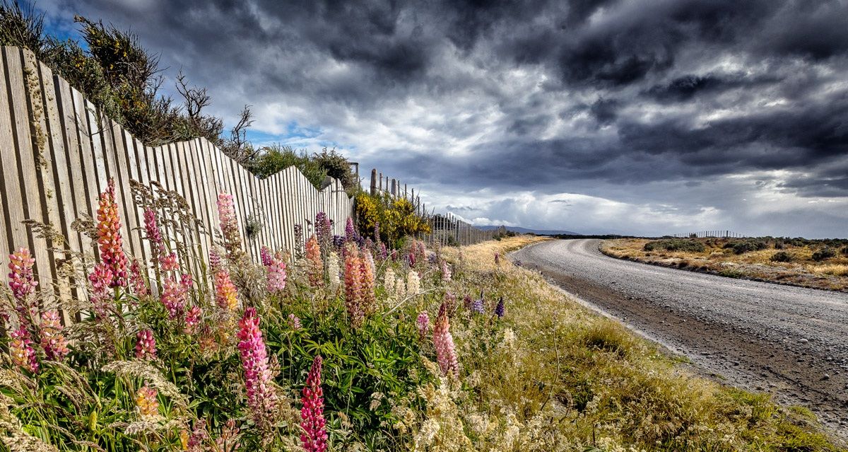 Patagonia towards the penguin