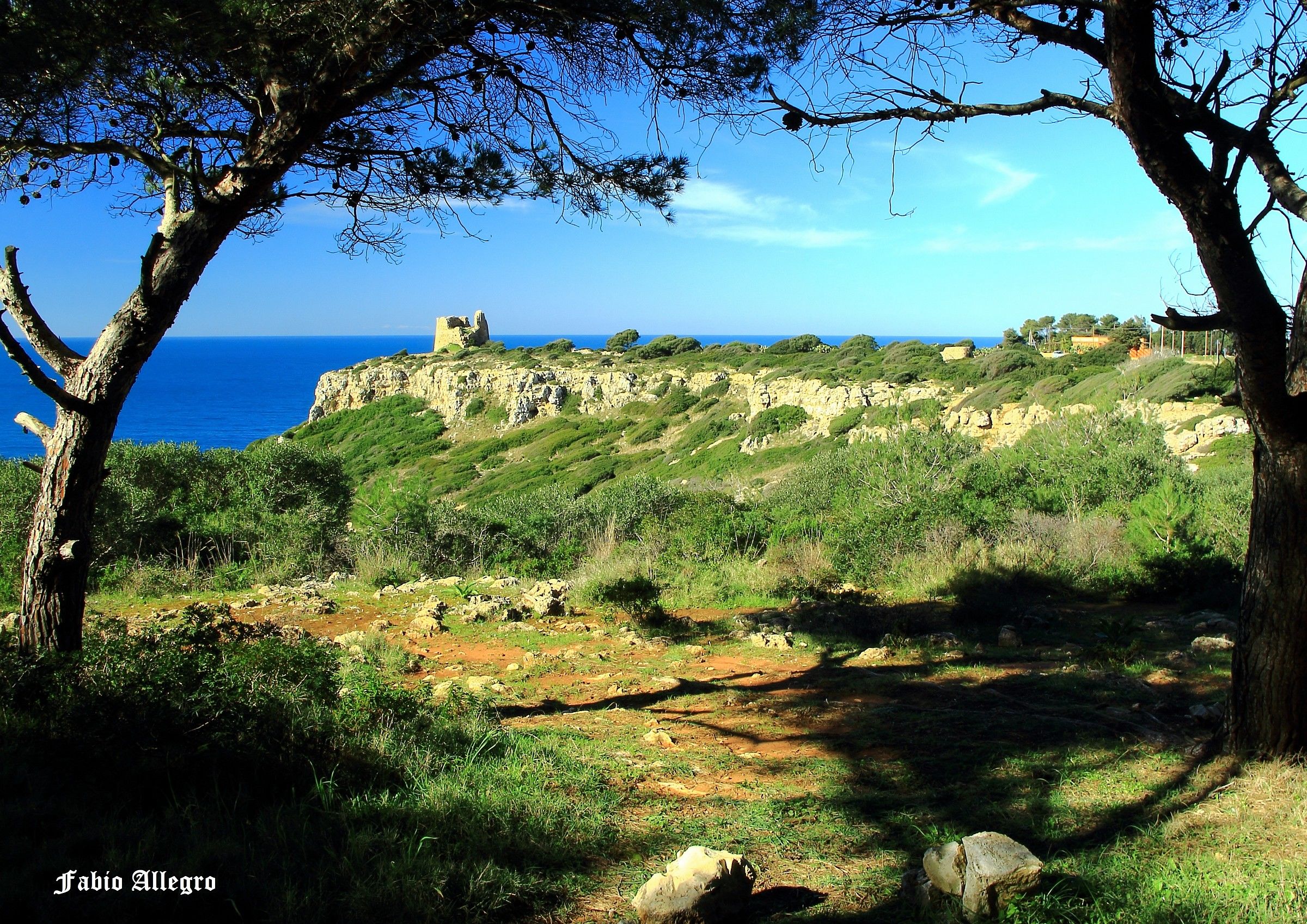 Salento Lecce harbor wild national park
