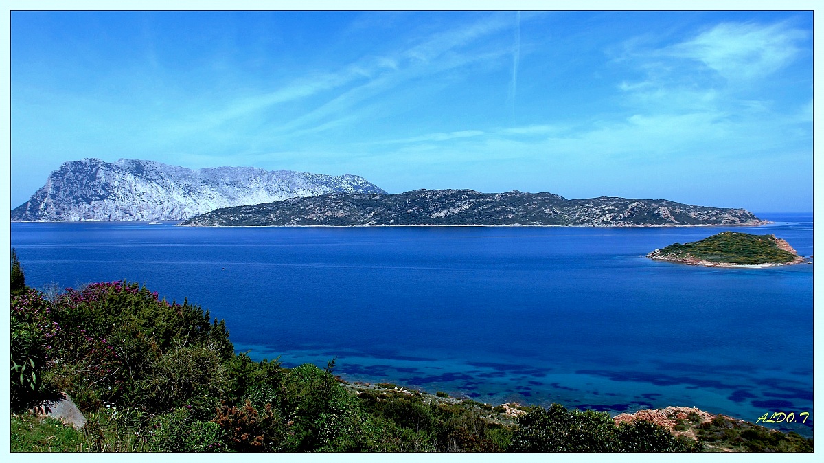 a sinistra di capo coda cavallo