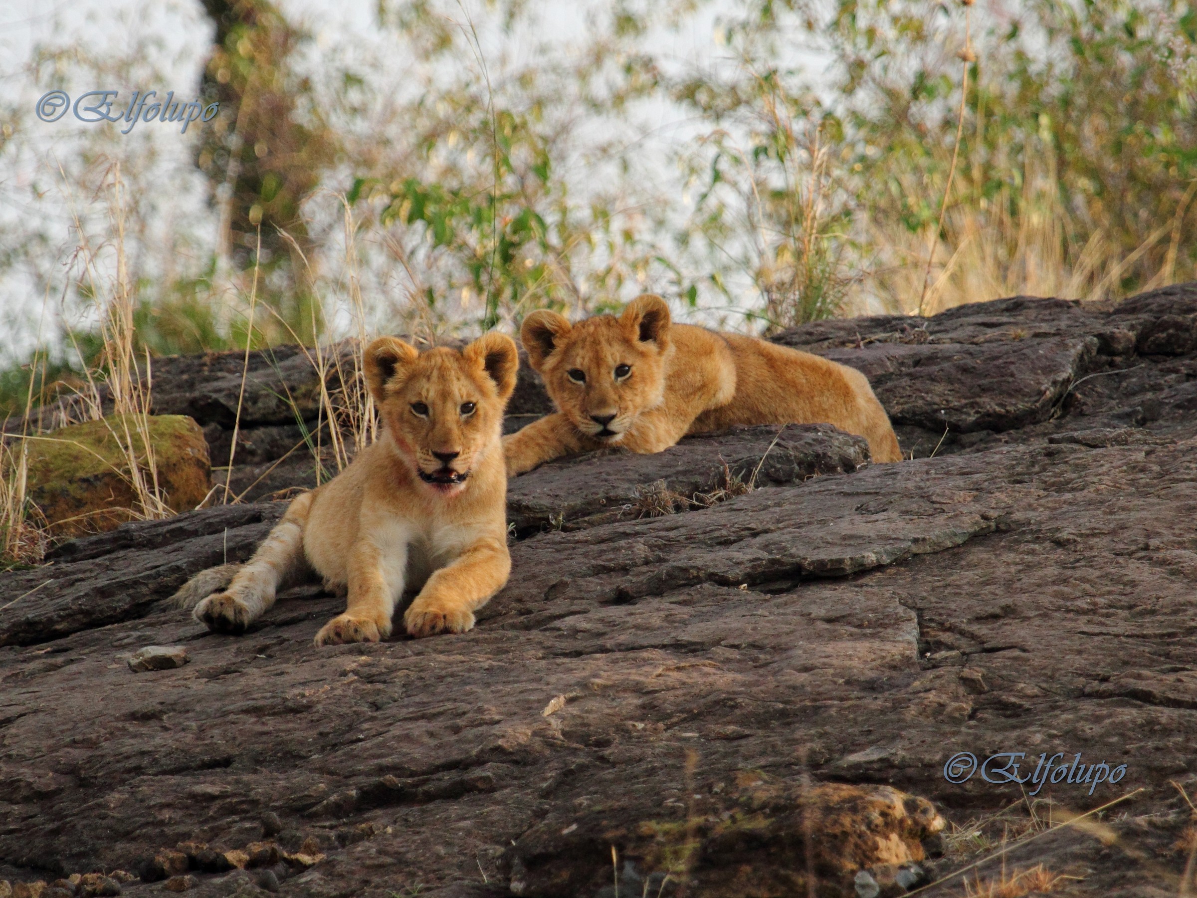 Ti stiamo osservando..