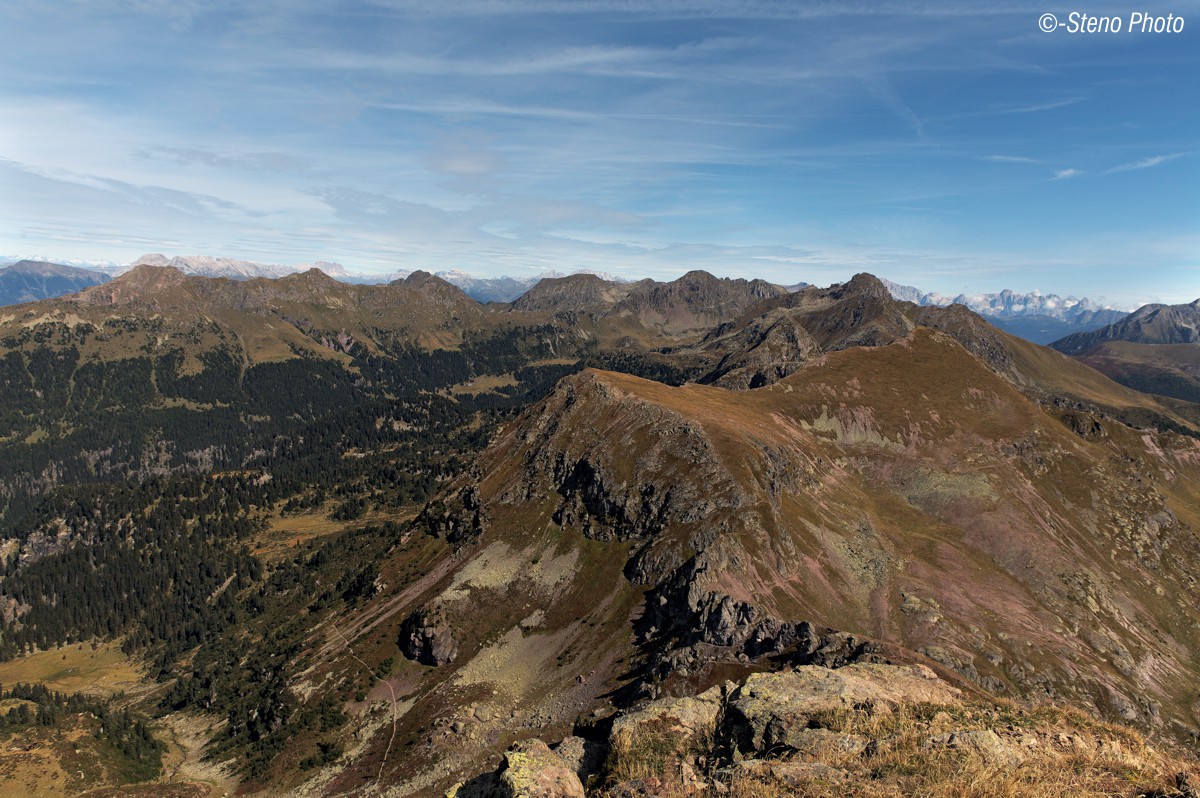 View from the Top Ziolera