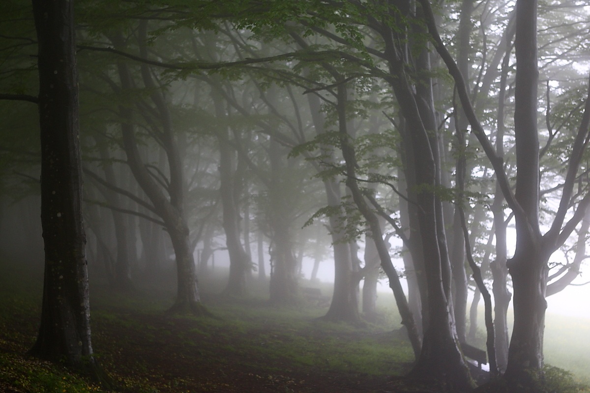 Aspettando un raggio di luce