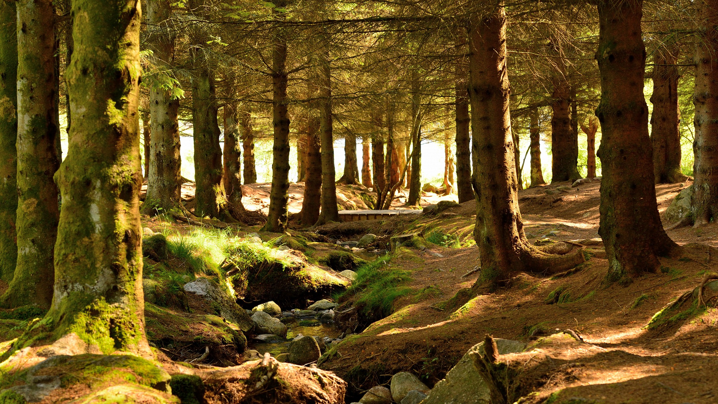 Dalsnuten, Sandnes, Norra