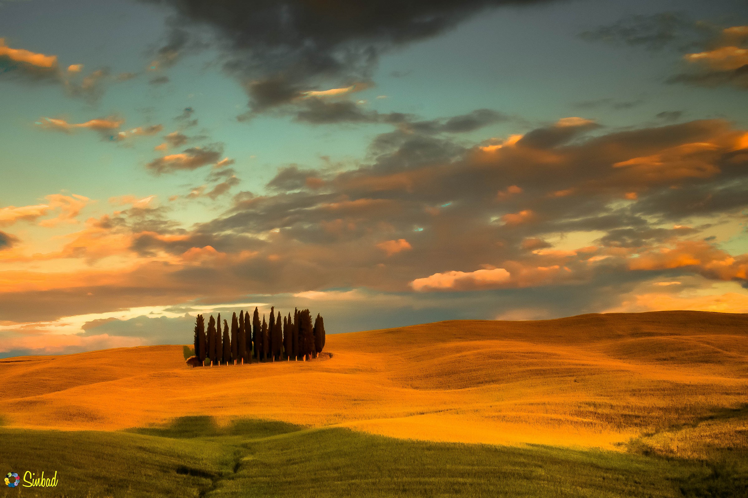 Tramonto sui cipressi