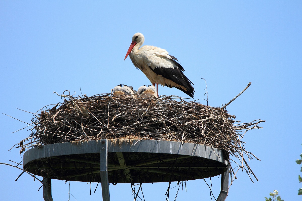 Uno sguardo sul mondo