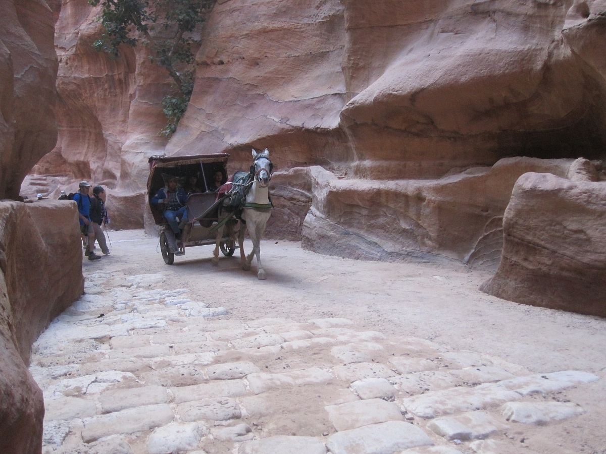 siq al ritorno con aiuto