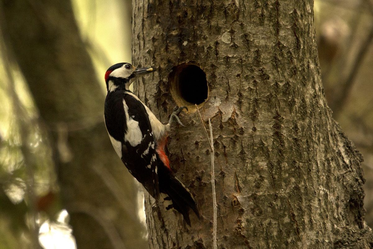 spuntino sull'uscio di casa