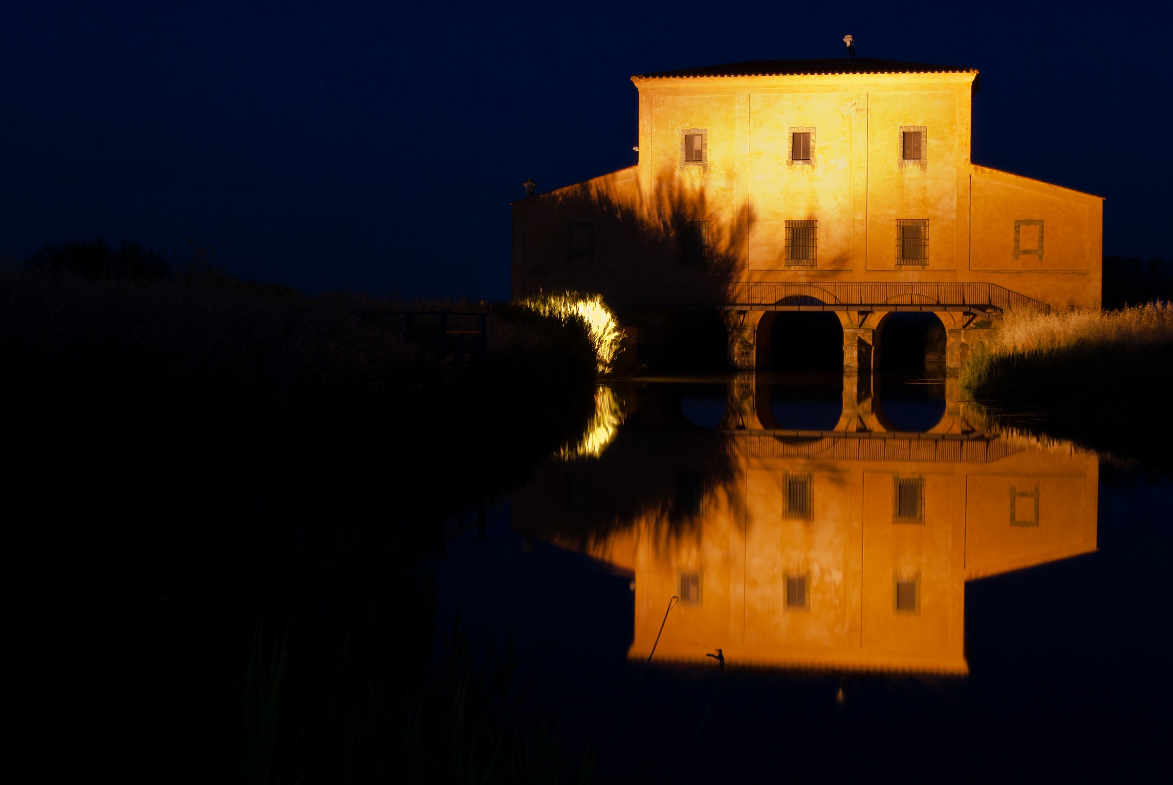 Diaccia botrona by night