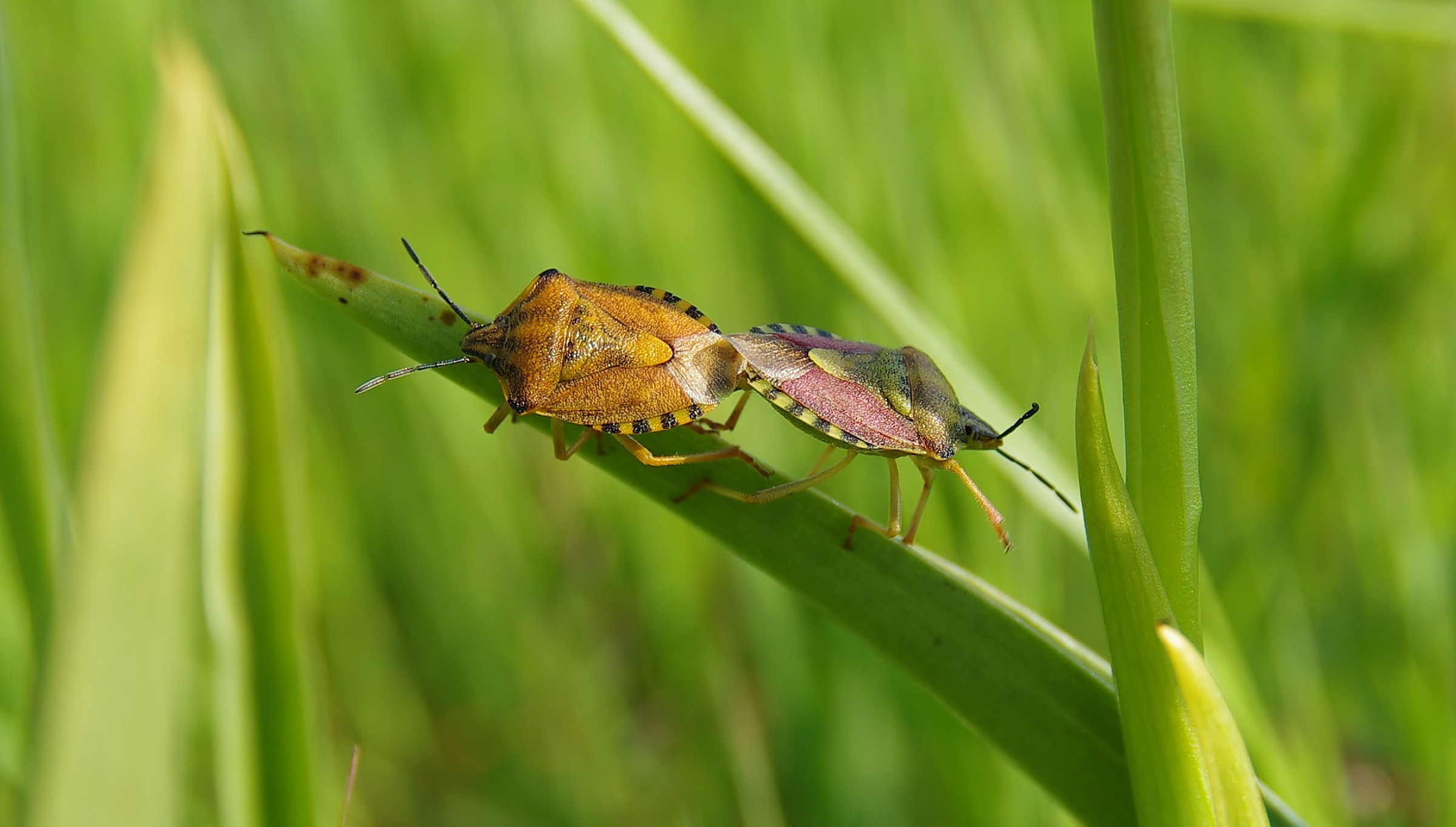 Questione di feeling!!