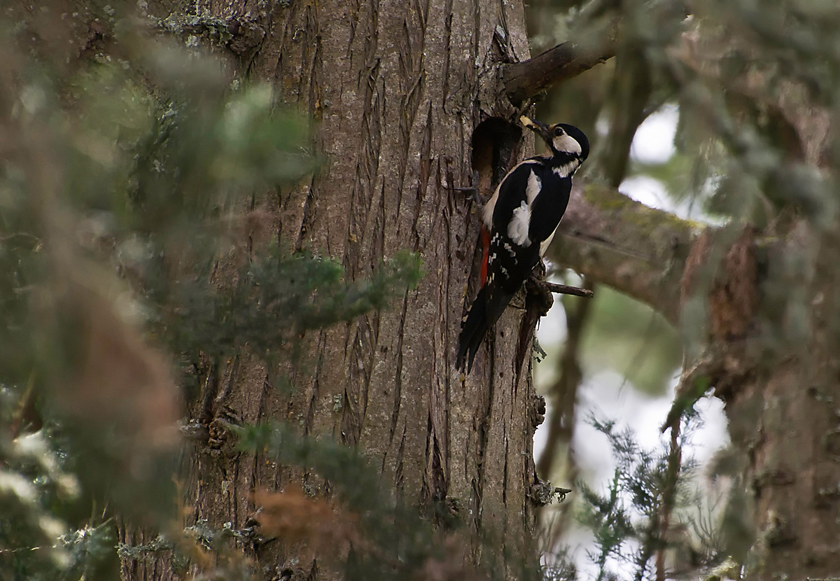E' l'ora della pappa!