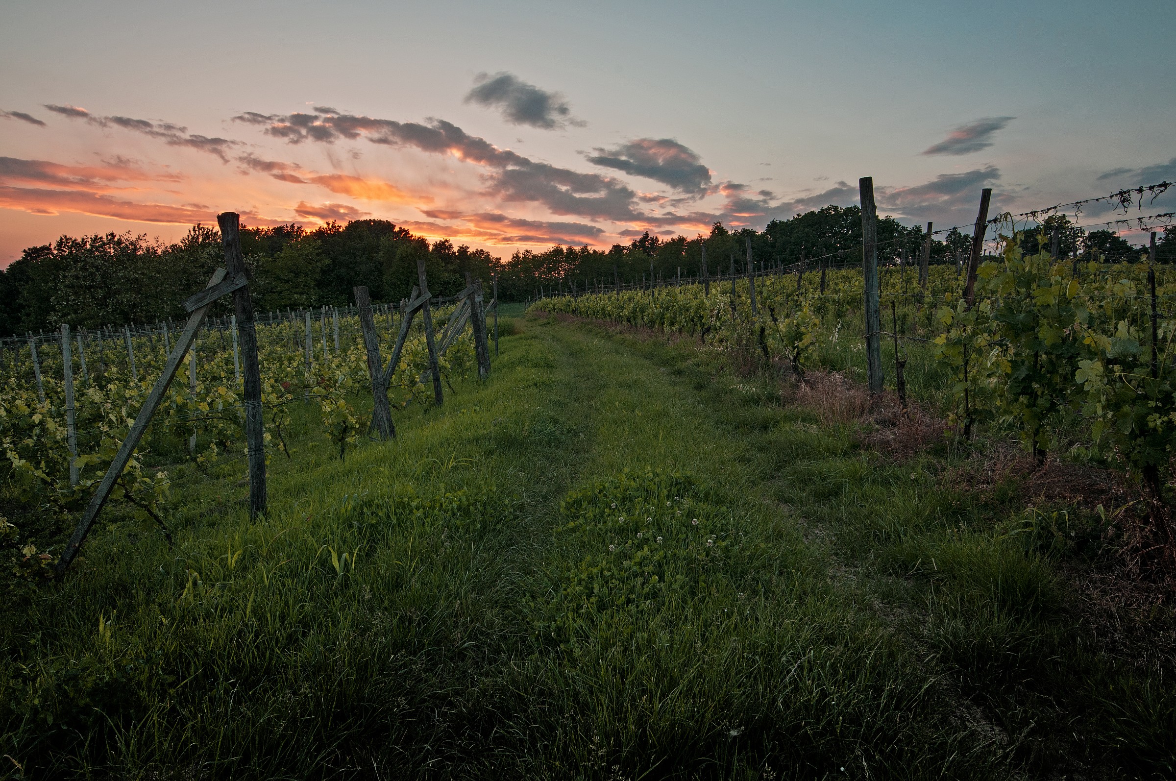 Fili D'grass sheets were