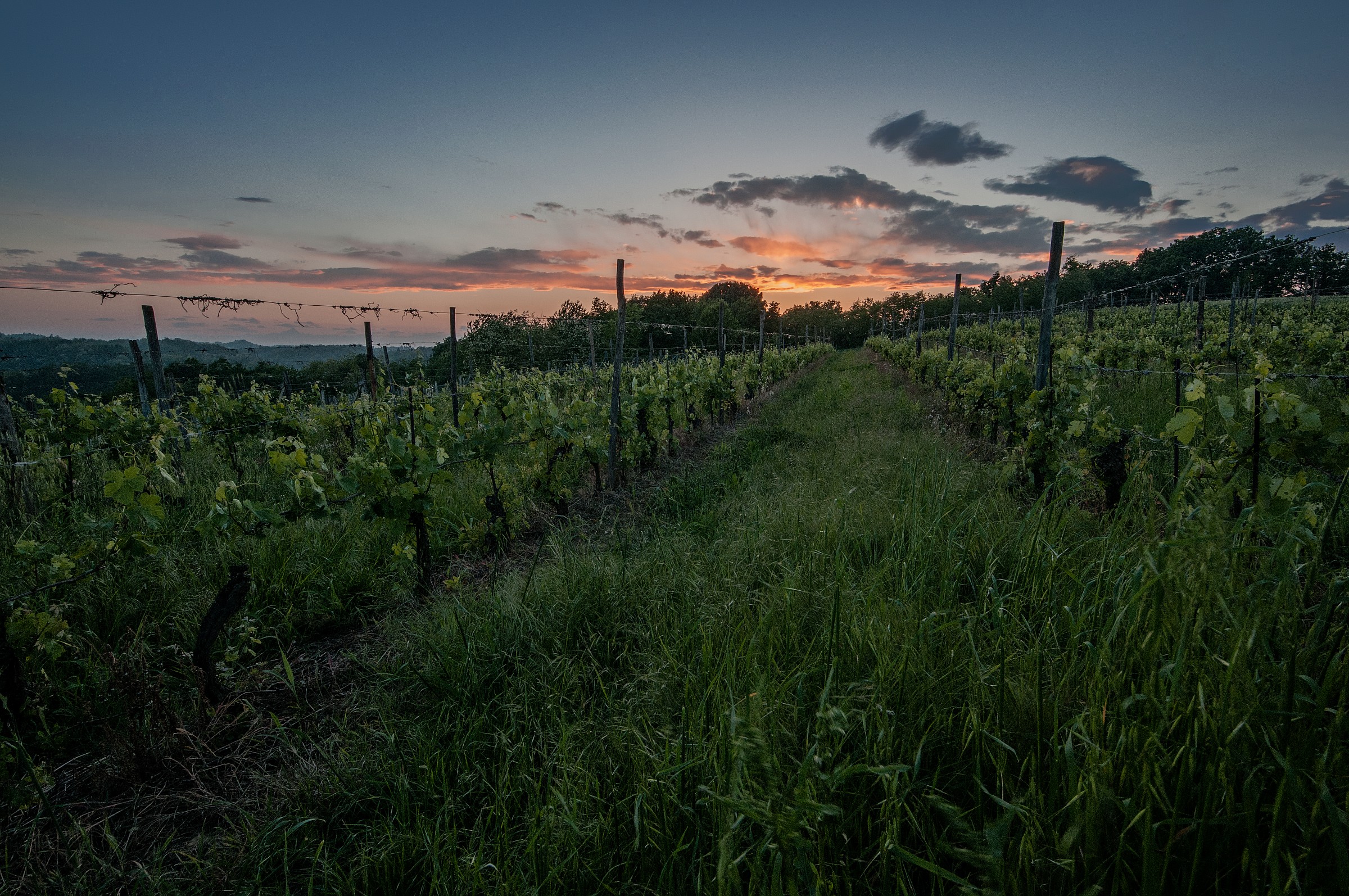 We loved each other between the rows