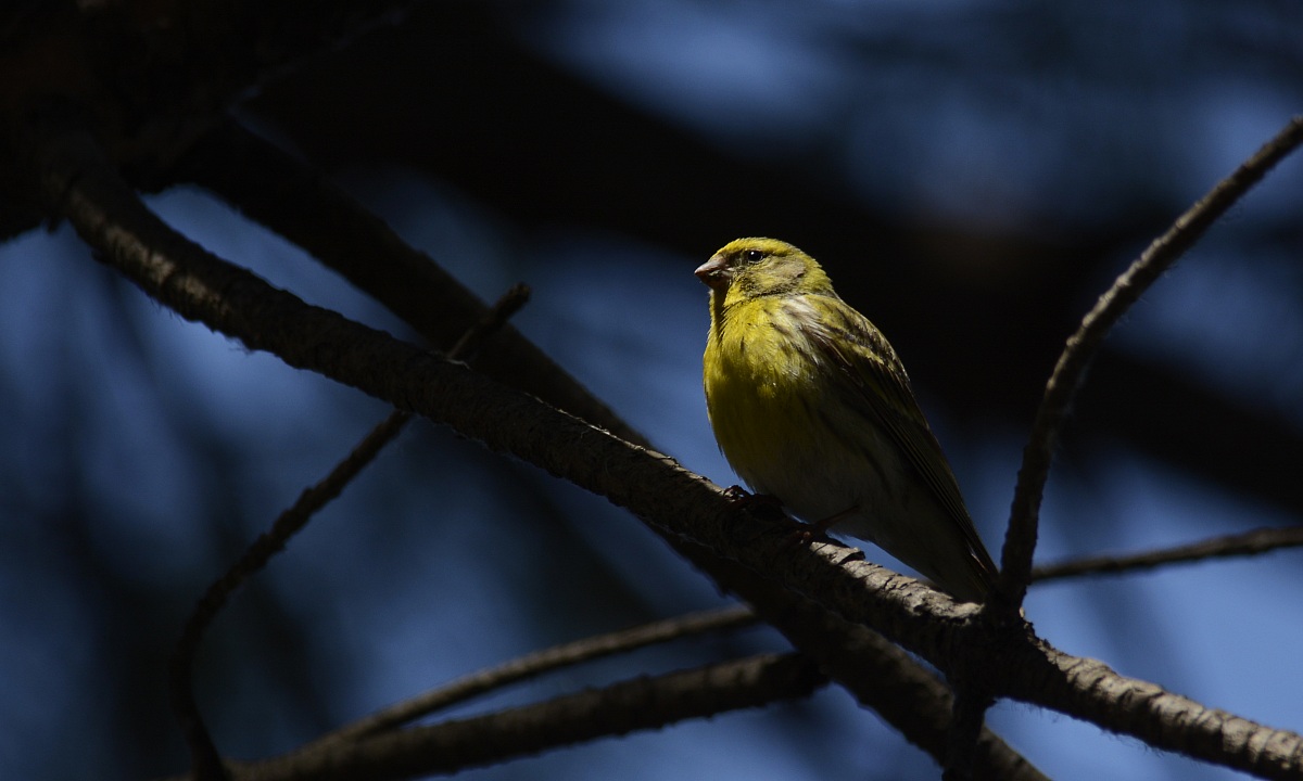 Baciato dal sole....