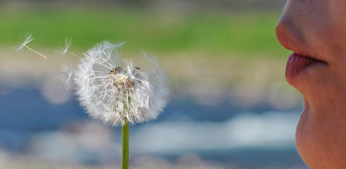 via col ven... respiro