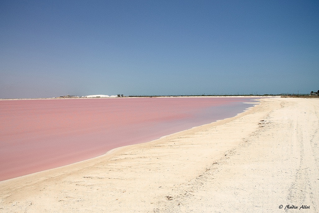 Mare Rosa - Saline di Rio Lagartos
