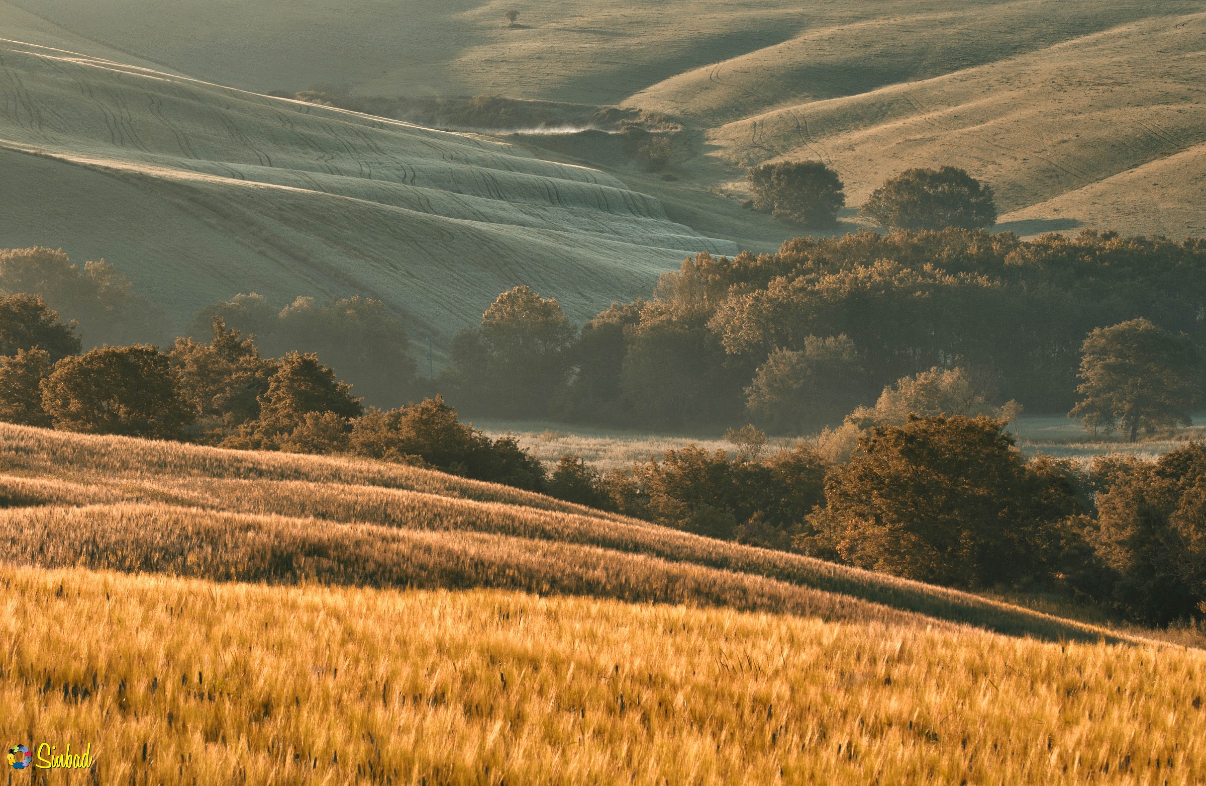 Balze e forre in Toscana