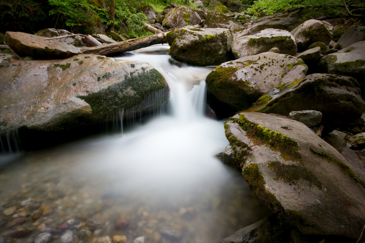 Torrent - Roncobello (bg) 002