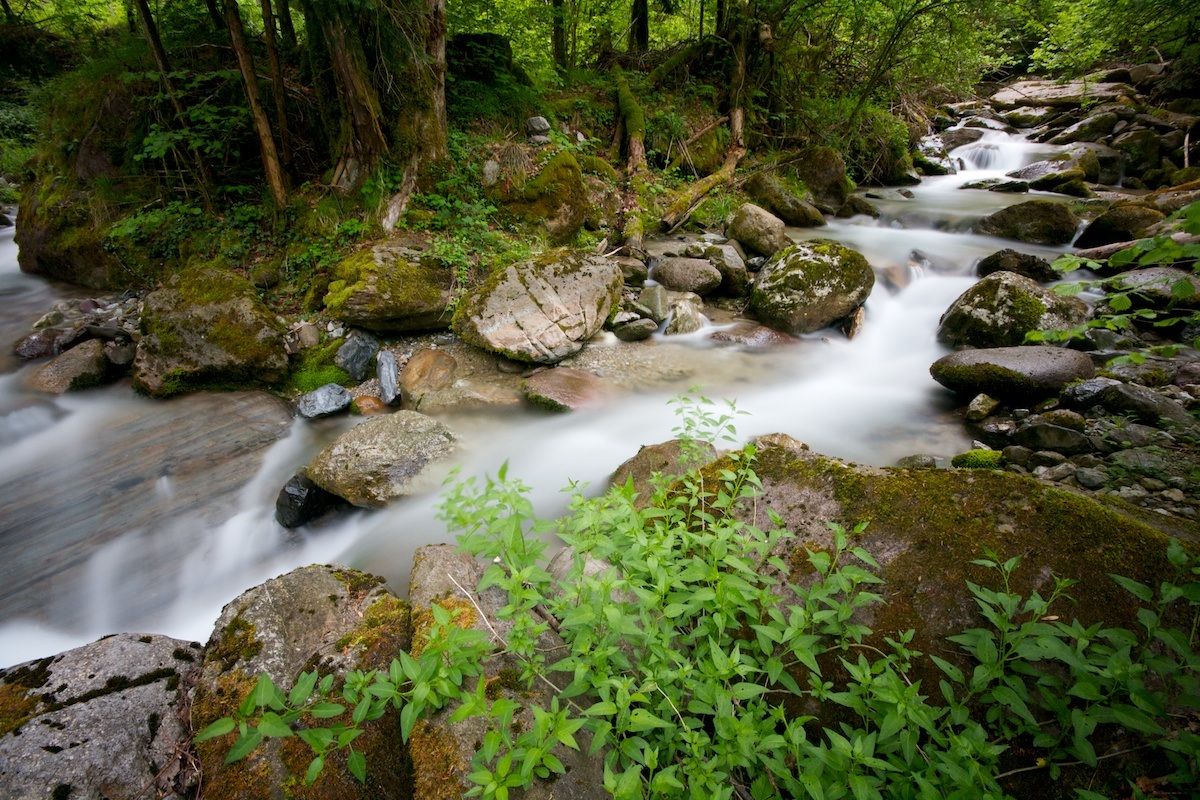 Torrent - Roncobello (bg) 003