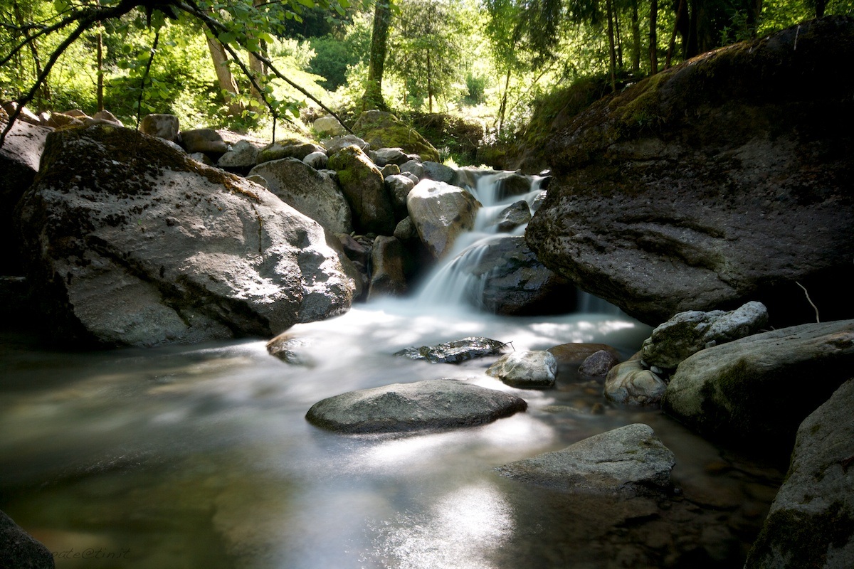 Torrent - Roncobello (bg) 004