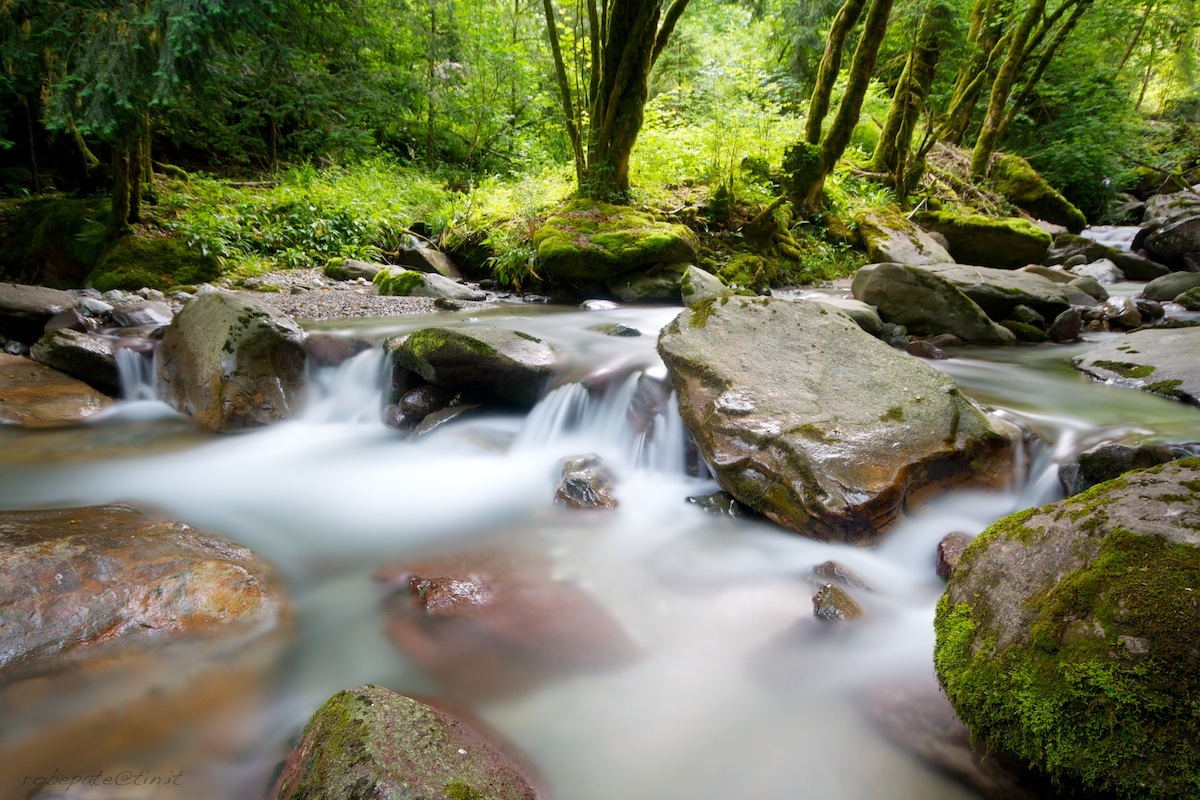 Torrente - Roncobello (bg) 005