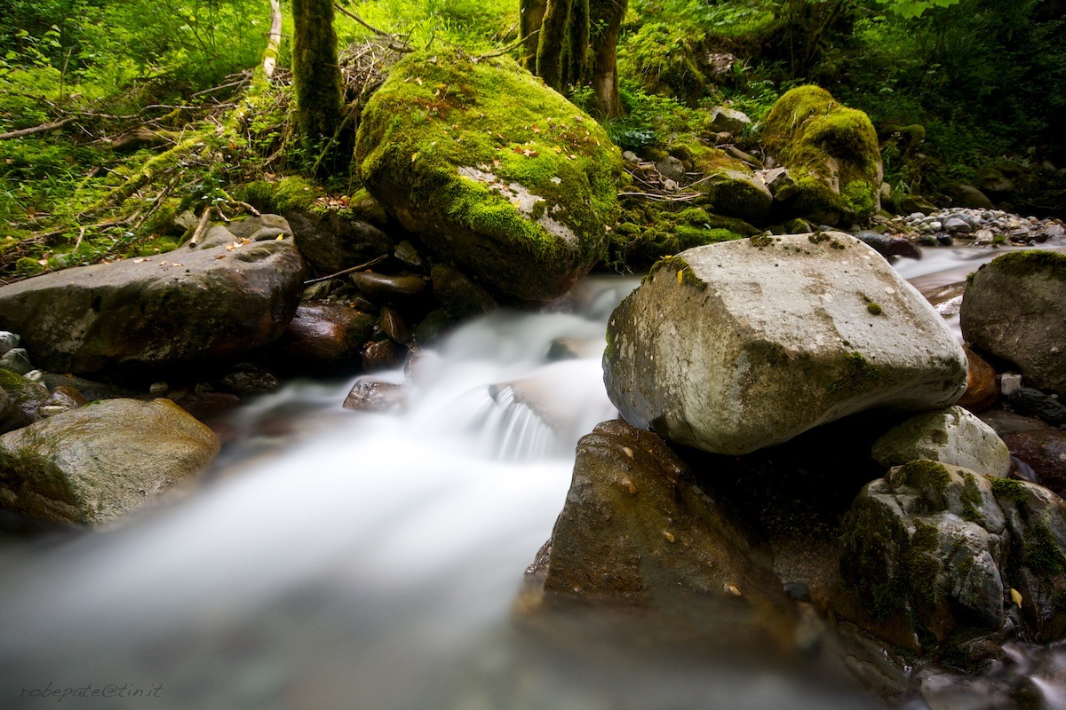 Torrent - Roncobello (bg) 006