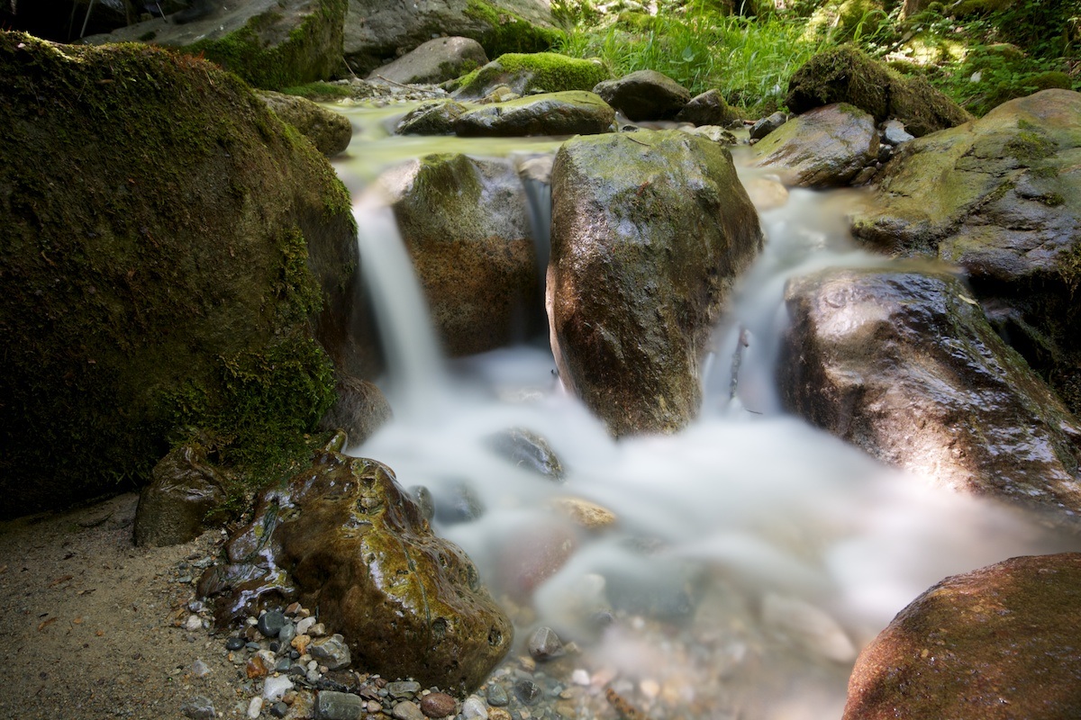 Torrent - Roncobello (bg) 008