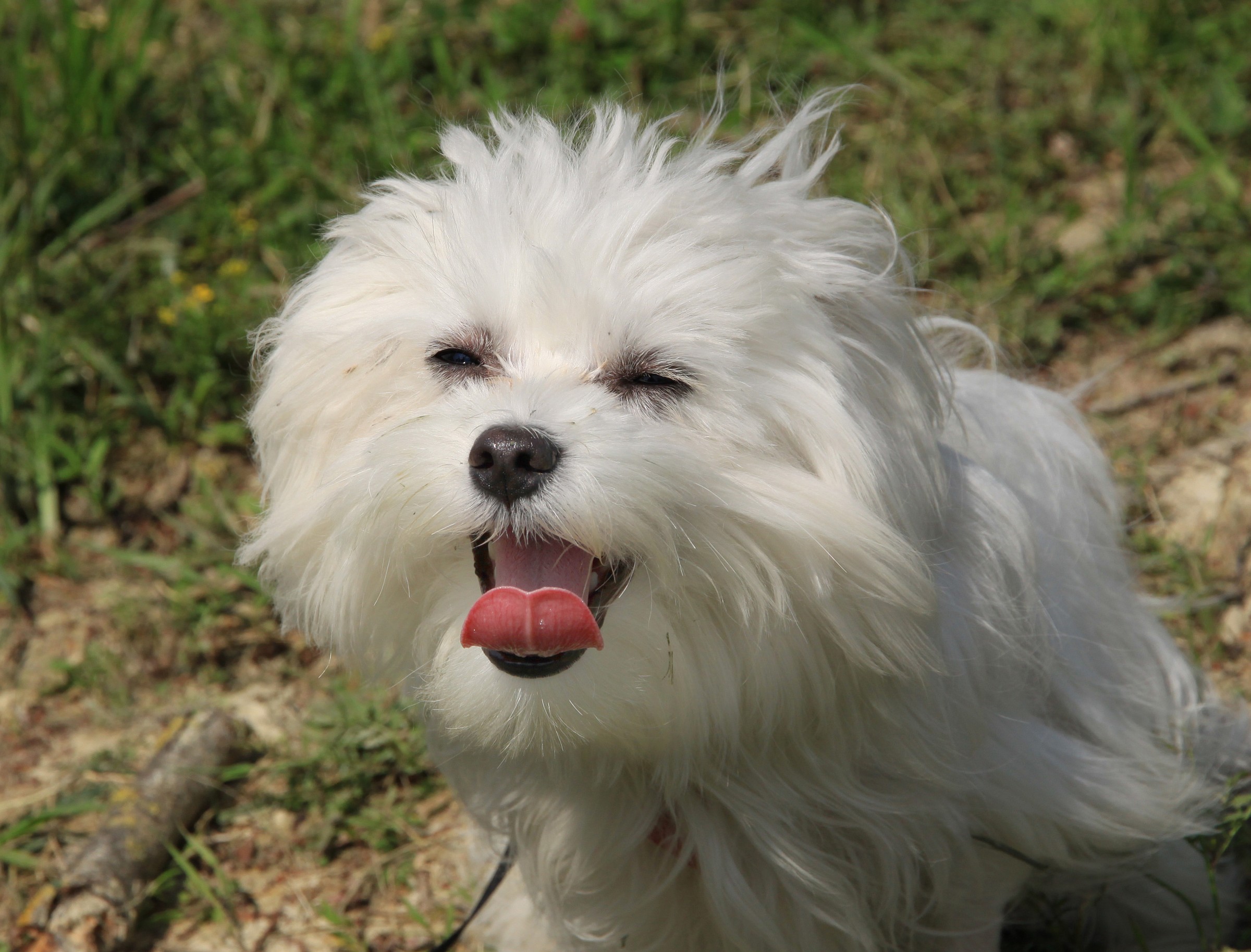 laughing is beneee ..