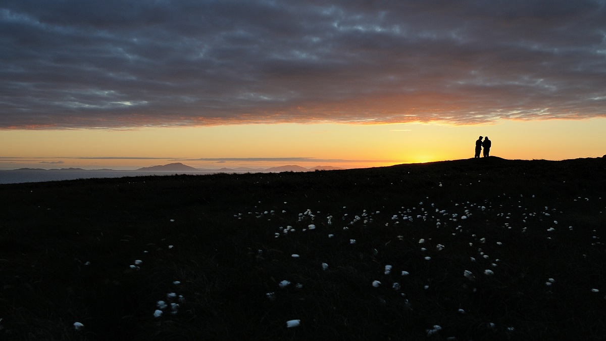 Cotton grass at Neist Point