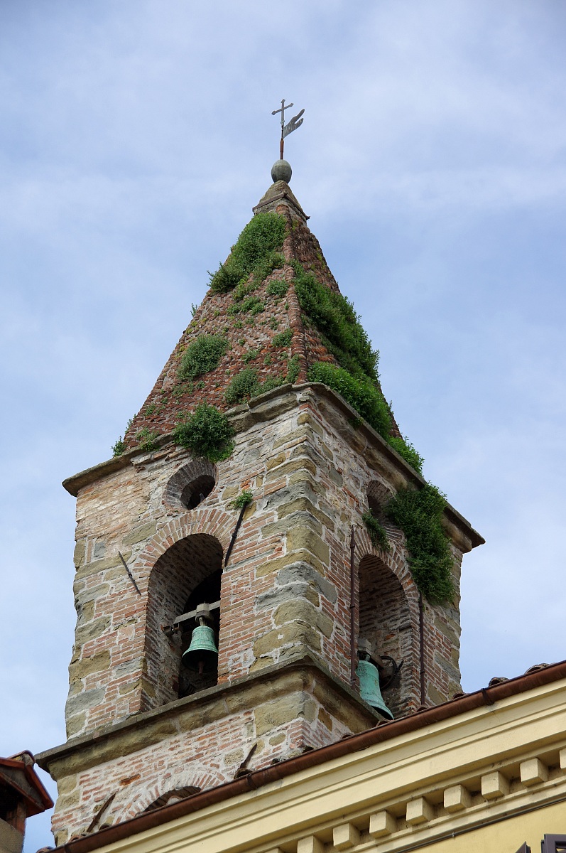 The Campanile uncultivated .......