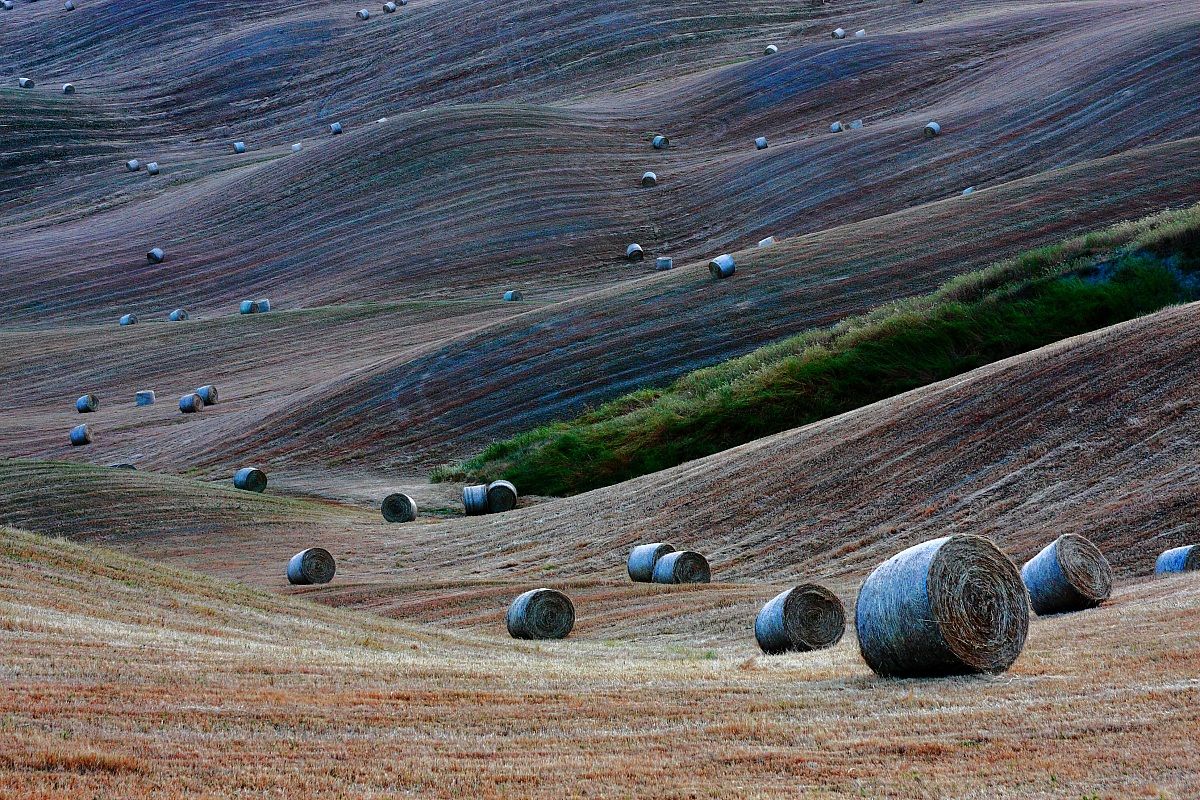 Un mondo di balle...