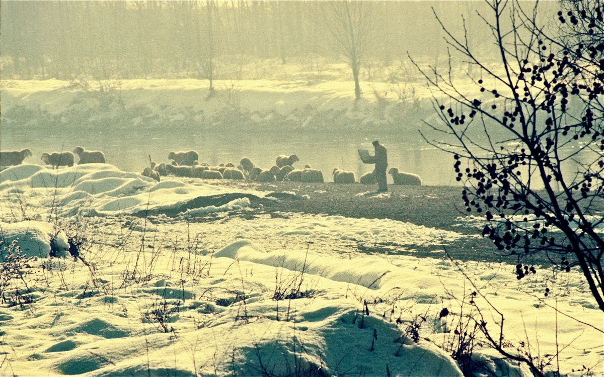 Omaggio ad un grande Artista