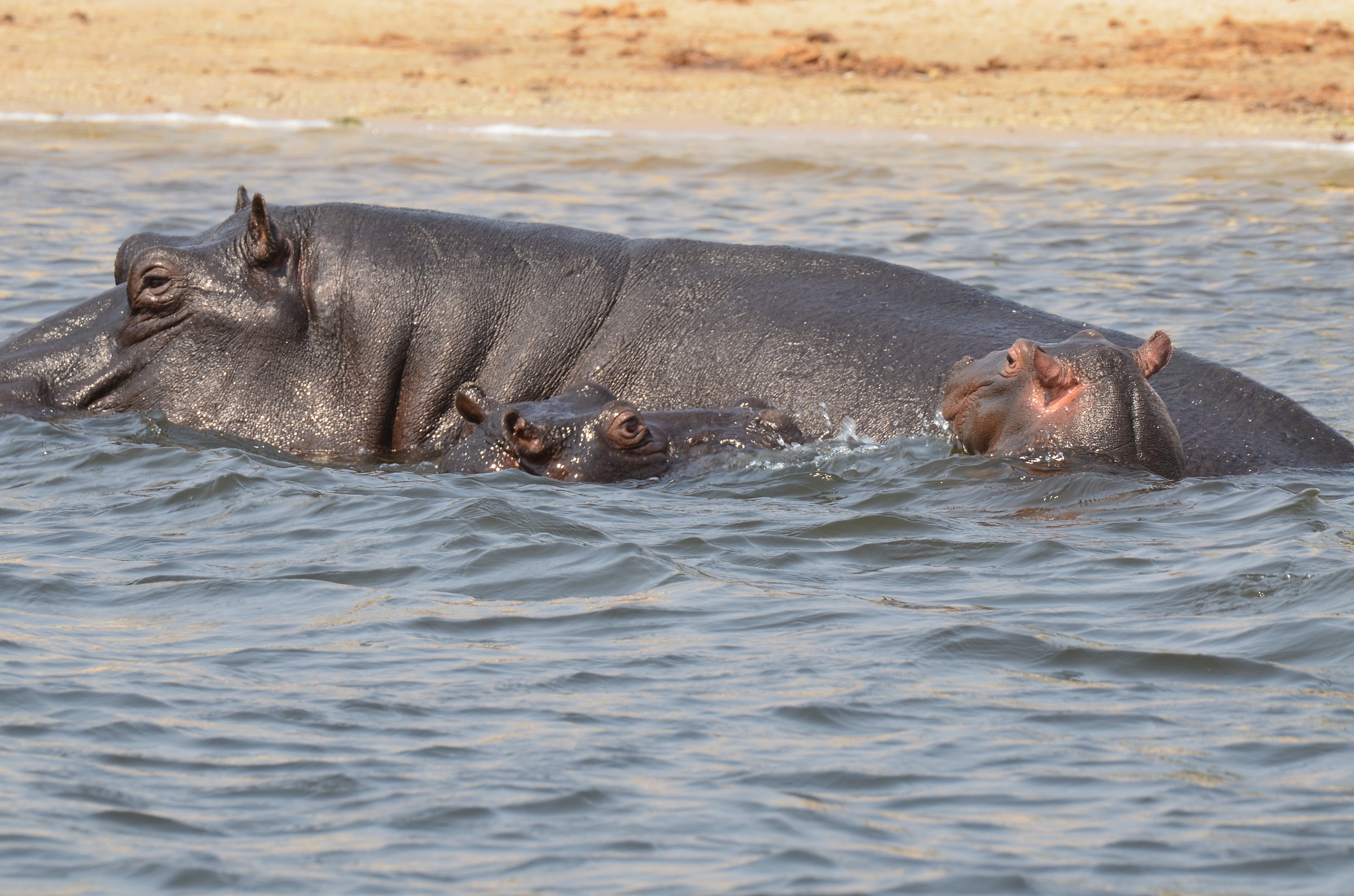 Per fortuna c'è la mamma