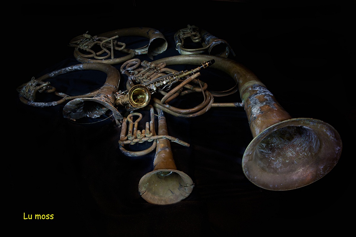 E la musica rinasce - and the music is reborn