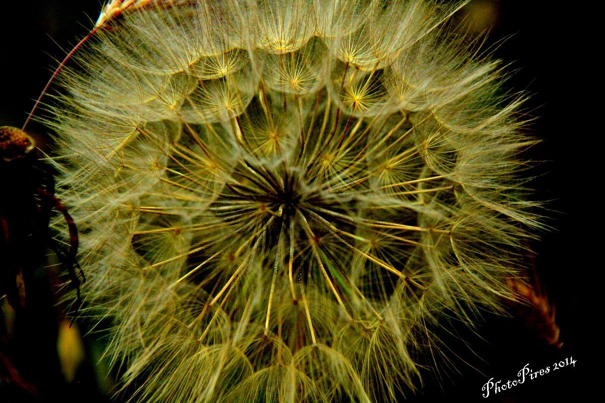 Rainfall Strange shapes III
