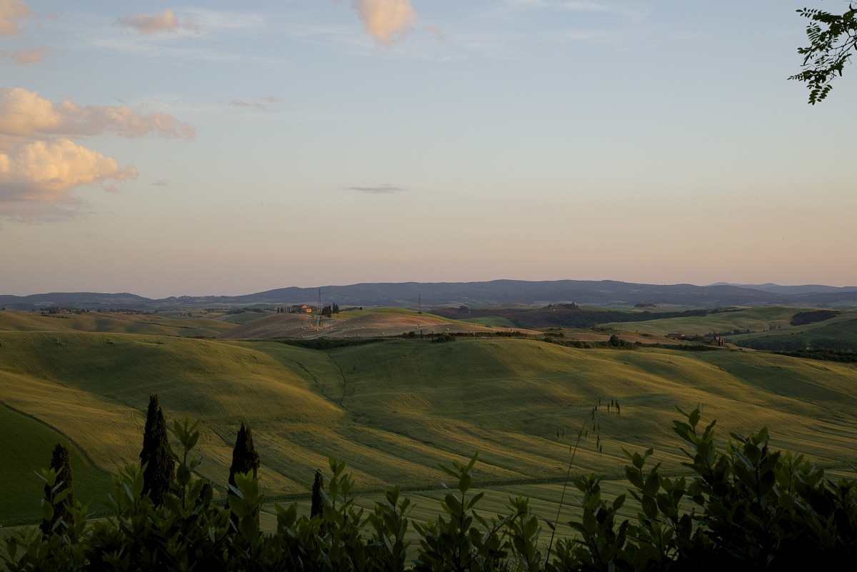 Campagne senesi (Asciano)