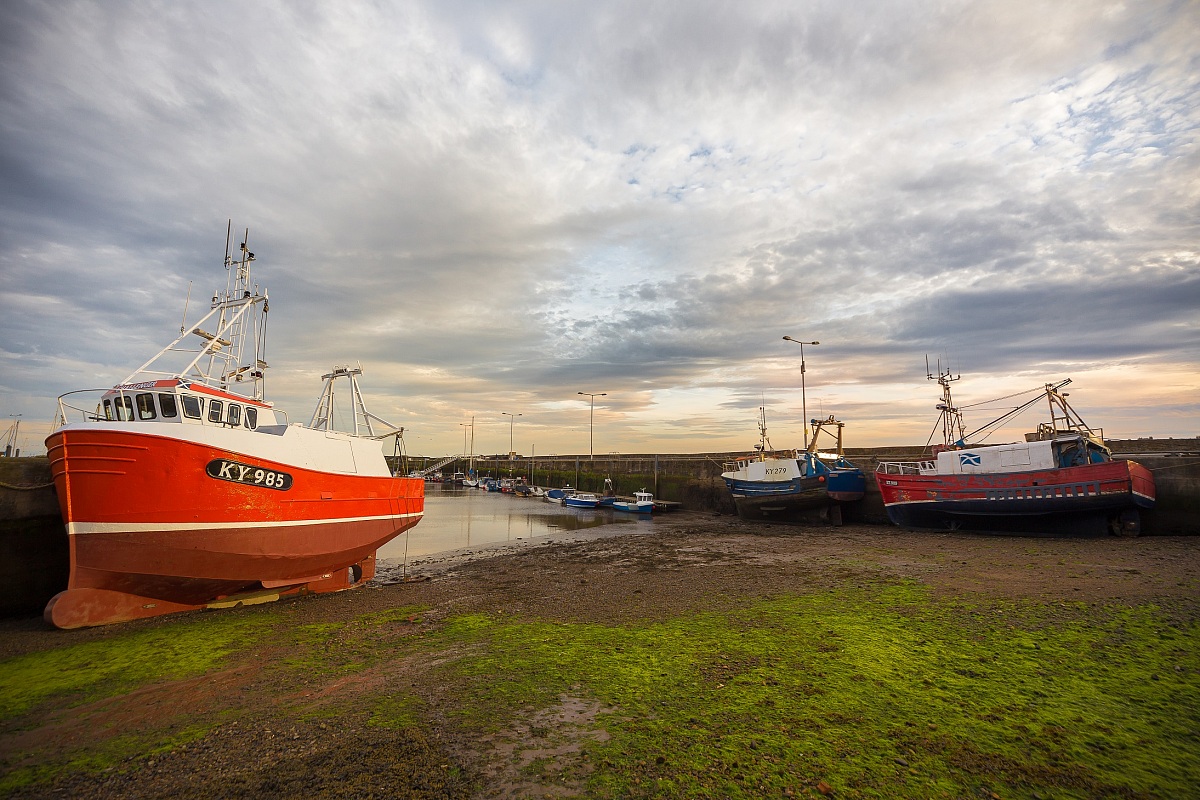 Aspettando il ritorno della marea