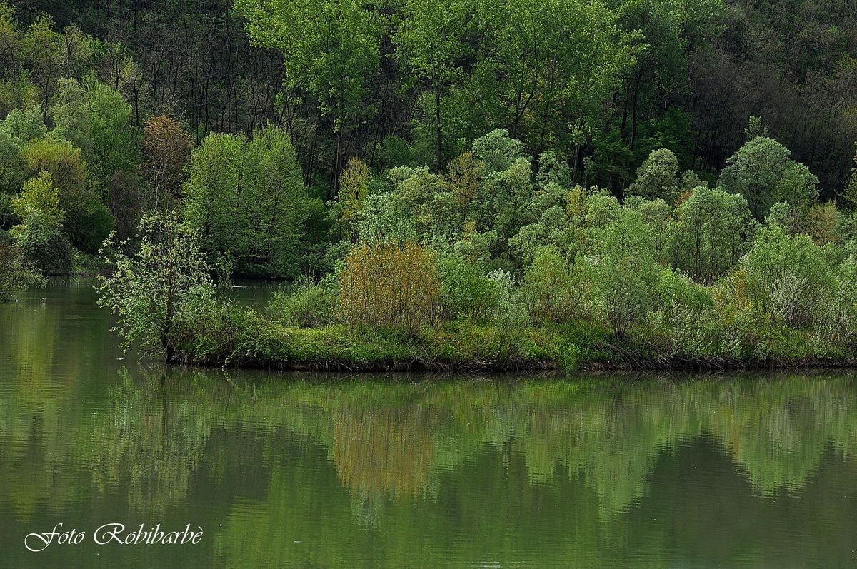 Un'oasi di primavera....