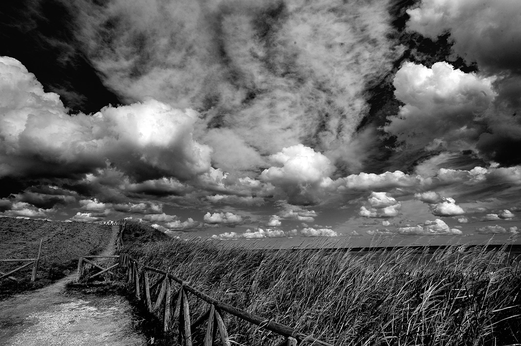 Natural Park of Punta Aderci, Vasto.