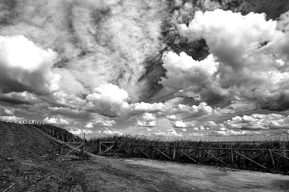 Parco Naturale di Punta Aderci, Vasto.